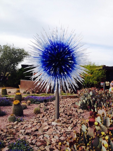 Desert Botanical Gardens Luminarias Chihuly Exhibit AZ by Sophia Ewing